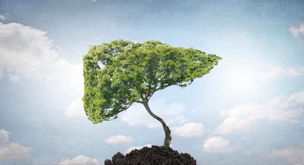 concept care ilustrează impactul poluării asupra ficatului