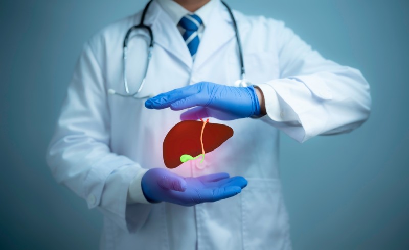 Ilustratie a ficatului si vezicii biliare