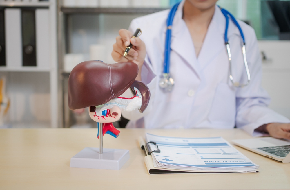 medic prezentând un model anatomic al ficatului, concept boală hepatică