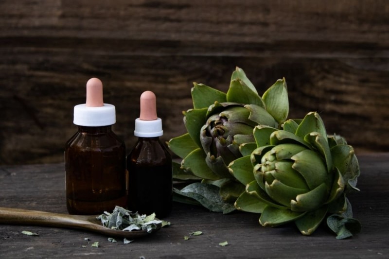 plante și extracte de anghinare folosite pentru a susține funcția hepatică