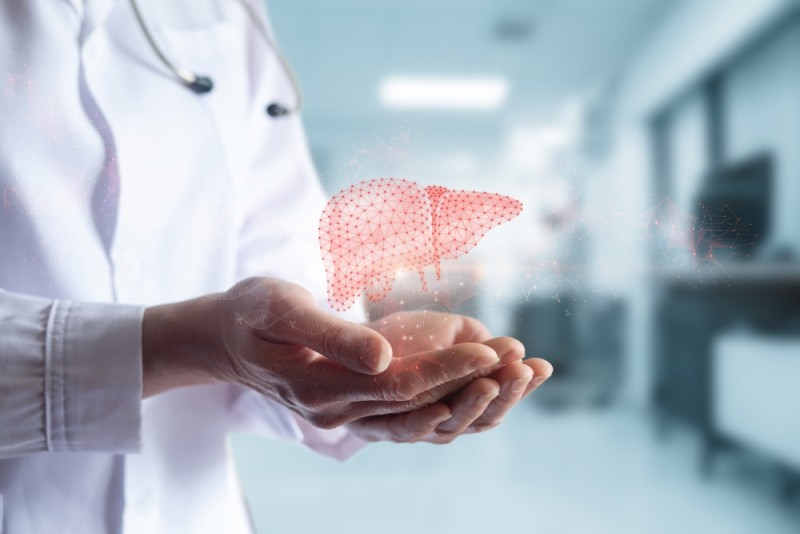 concept doctor care tine in mana un ficat