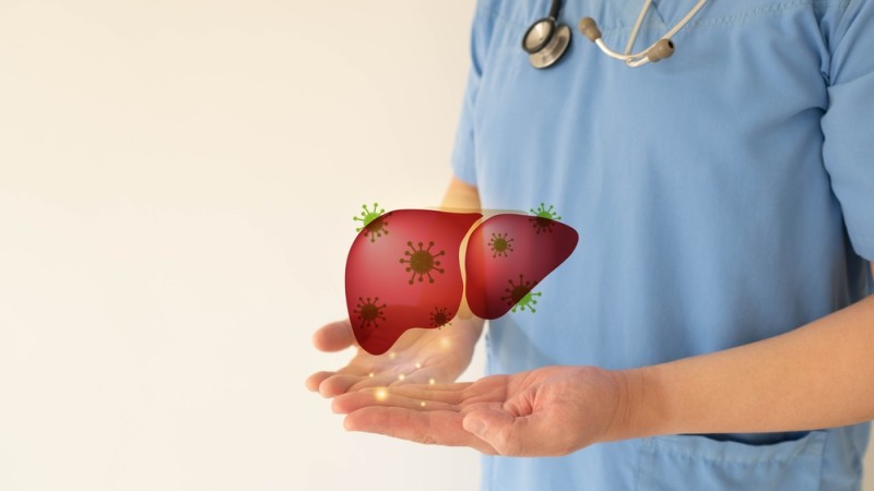 medic care tin in mana o reprezentare grafica a unui ficat afectat de un virus