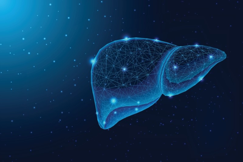 ilustratie holografica a unui ficat 