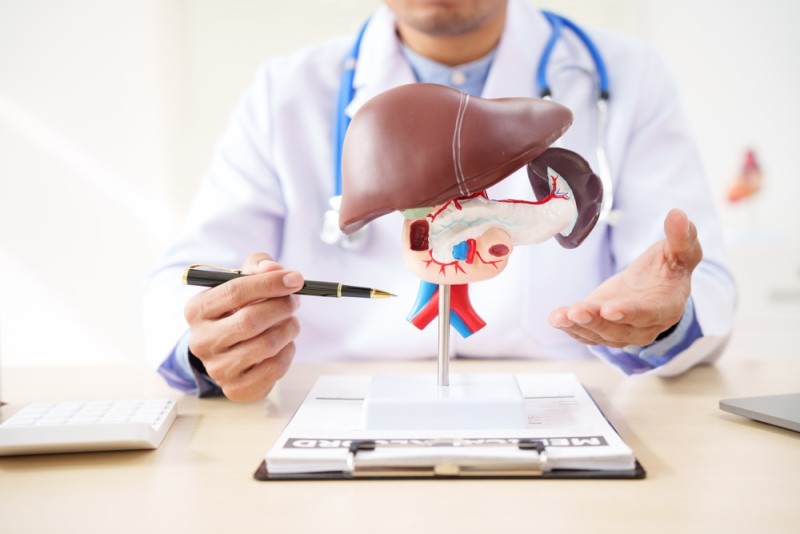 Imagine cu structura membranelor celulare stabile