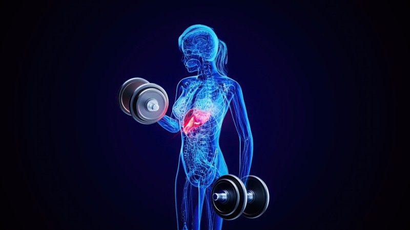 Persoana practicând sport cu greutati pentru sănătatea ficatului