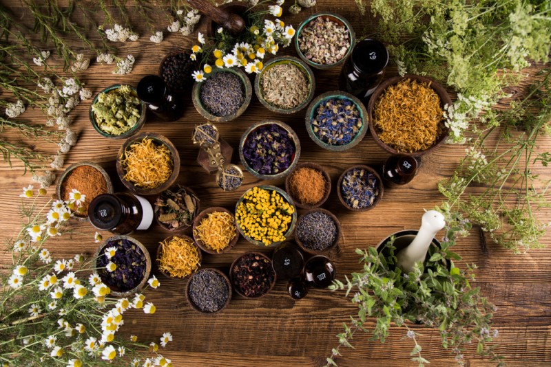 Ceaiuri si plante benefice pentru ficat