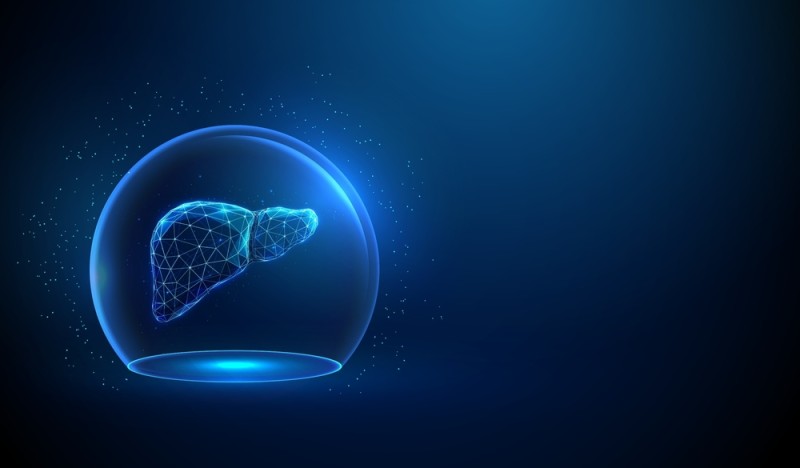 concept protectia ficatului