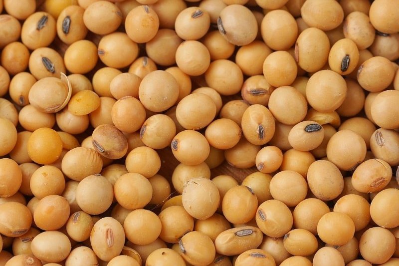 Boabe de soia
