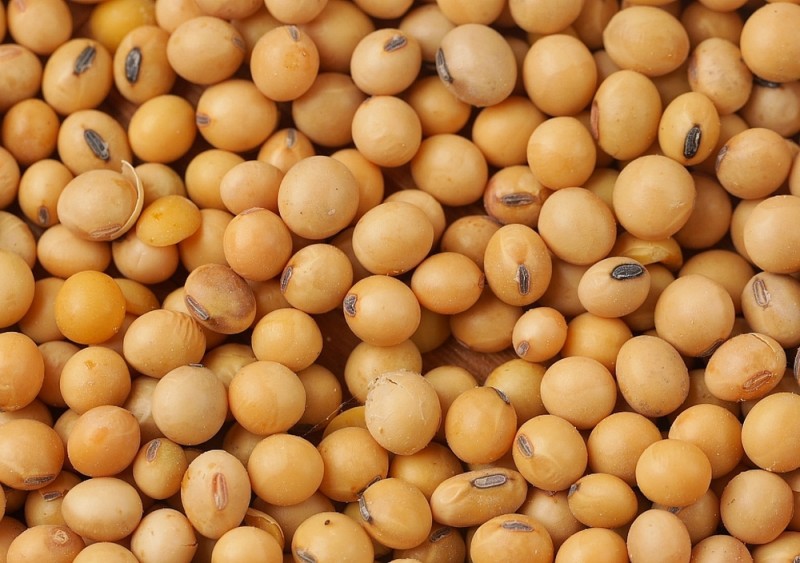 Boabe de soia