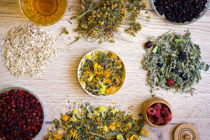 Plante antiinflamatorii ficat