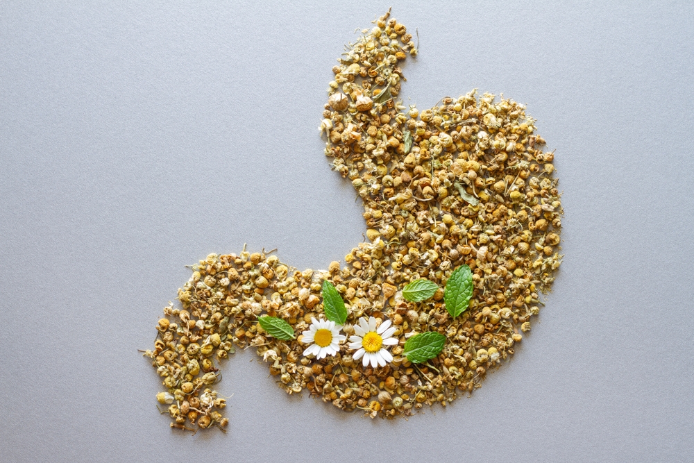 concept plante care ajută la digestie